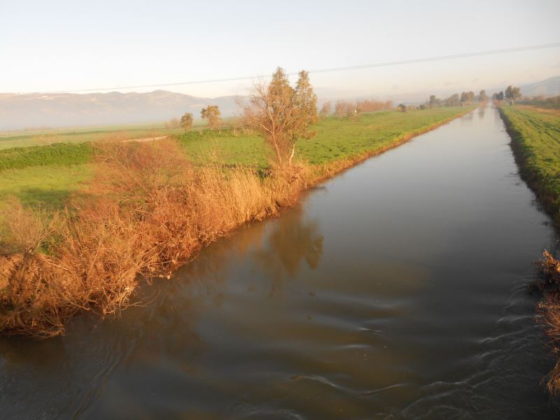 Der einzige Zufluss zum Toten Meer, der Jordan