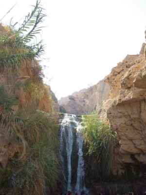 Wasserfall in der Ein Gedi Oase